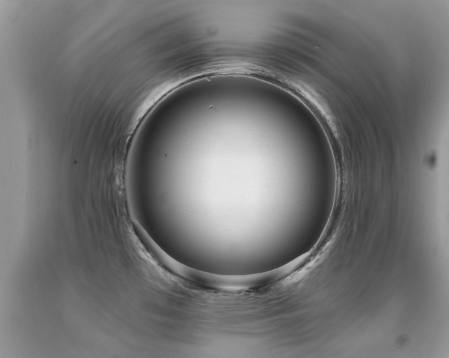 X0000091931481200709051451