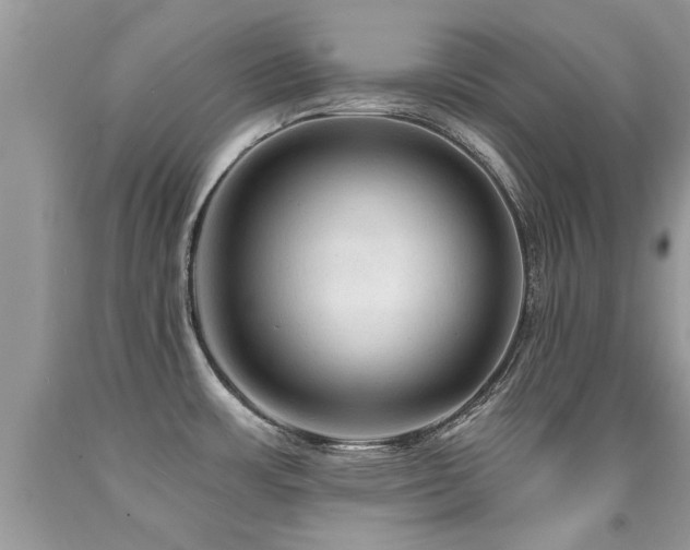 X0000091931483200709051451