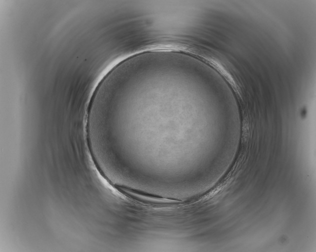 X0000091931484200709051451