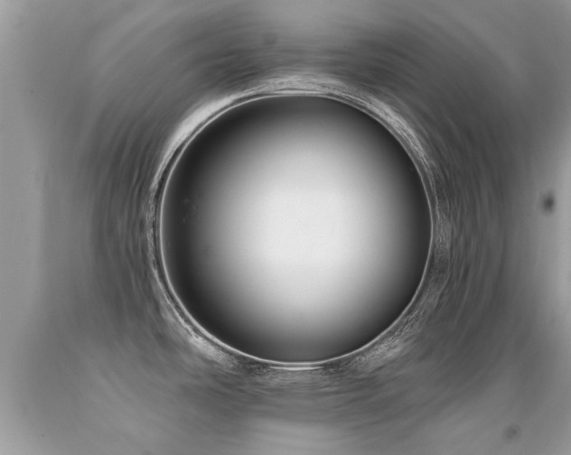 X0000091931486200709051451