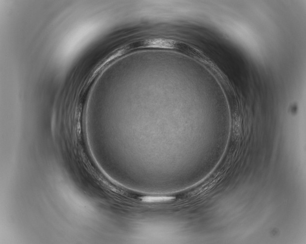 X0000091931487200709051451