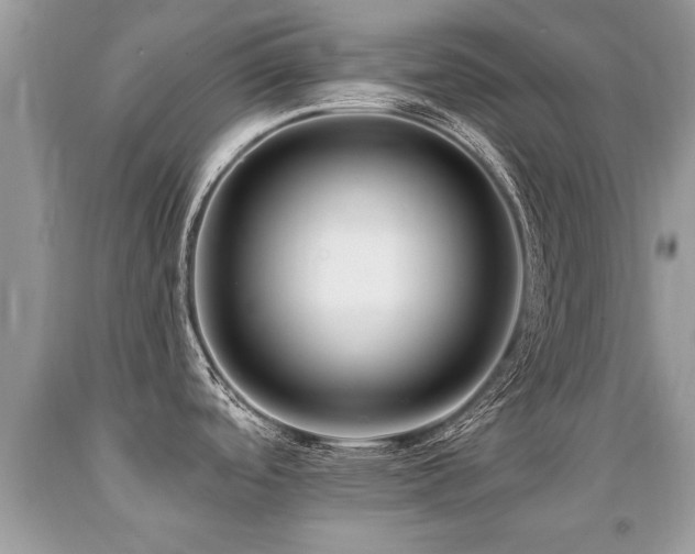 X0000091931488200709051451