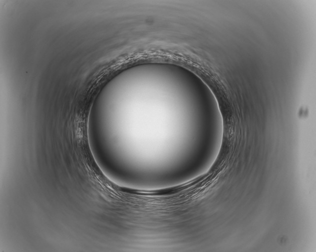 X0000091931490200709051450