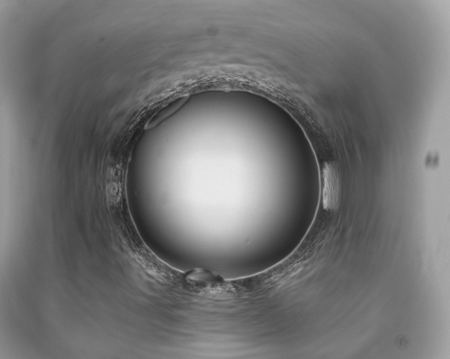 X0000091931491200709051450