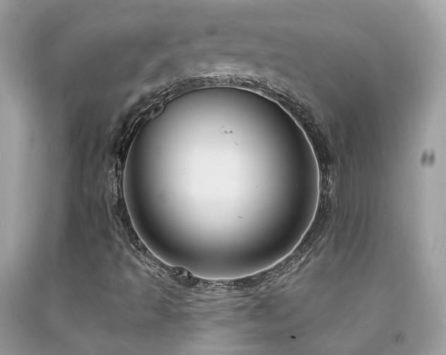 X0000091931493200709051450