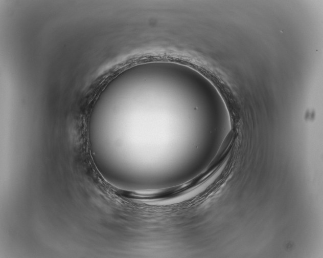 X0000091931494200709051450