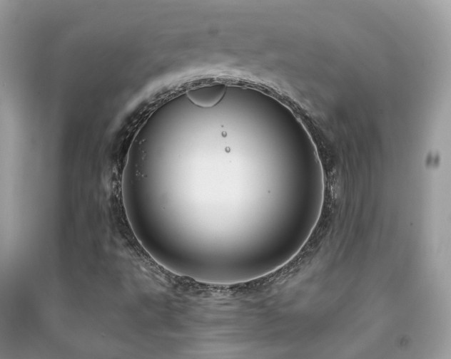 X0000091931495200709051450