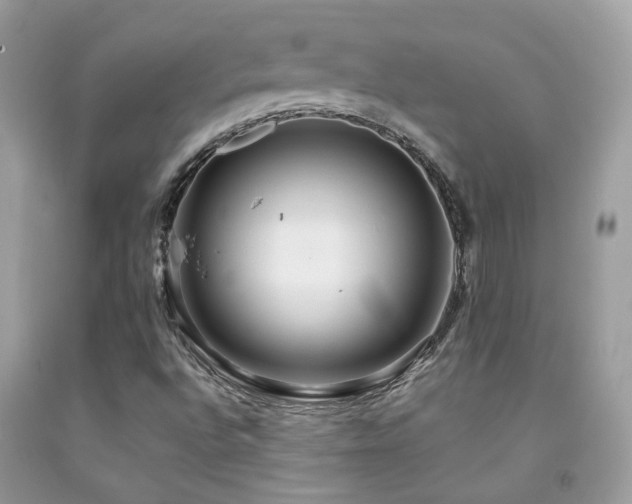 X0000091931496200709051450
