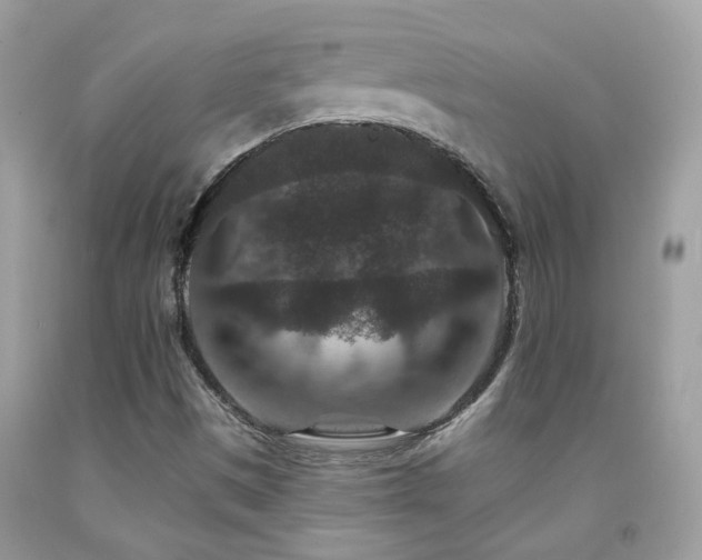 X0000091931497200709051450