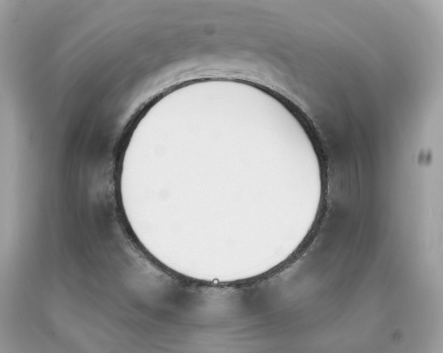 X0000091931498200709051450