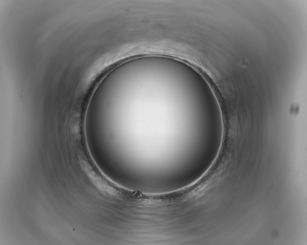 X0000091931499200709051450