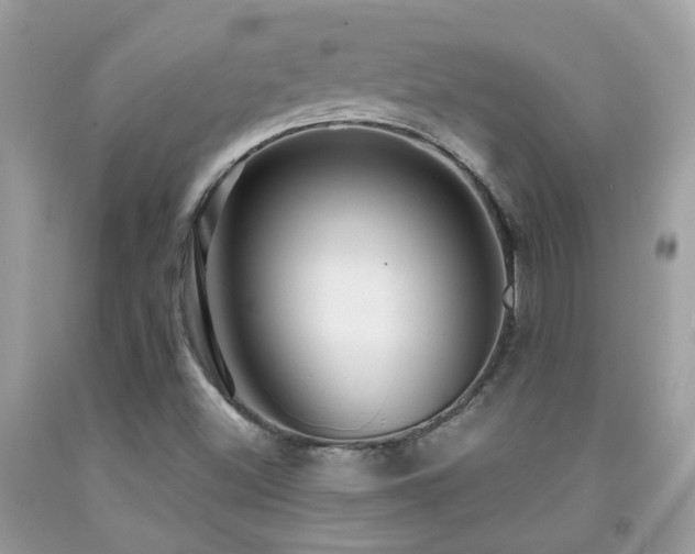 X0000091931500200709051450