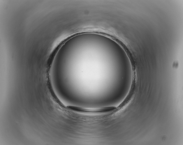 X0000091931501200709051450