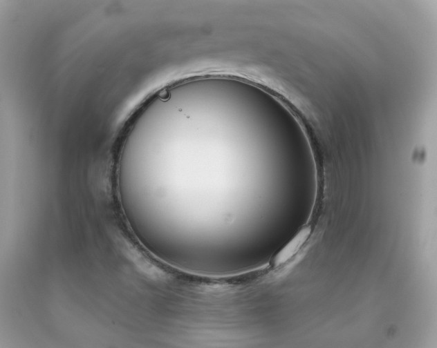 X0000091931502200709051450