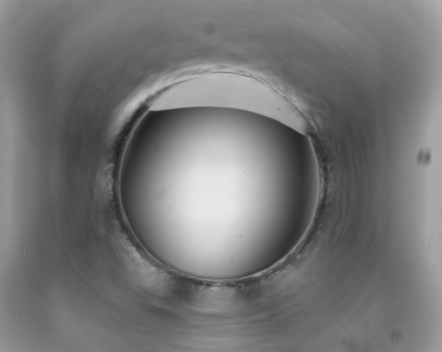 X0000091931503200709051450