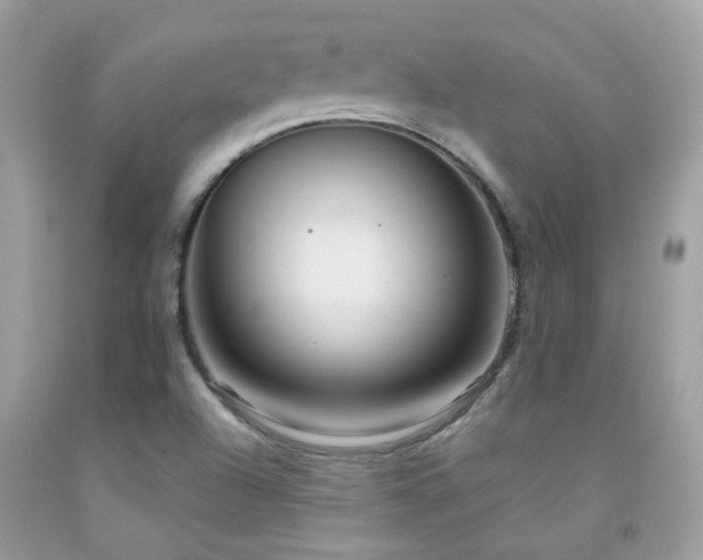 X0000091931504200709051450