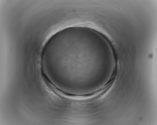 X0000091931506200709051450