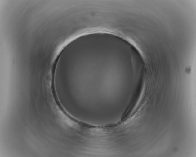X0000091931508200709051450