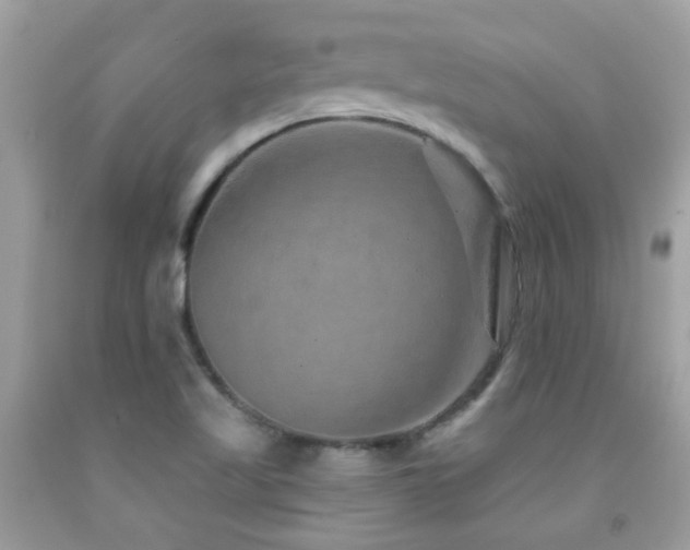 X0000091931509200709051450