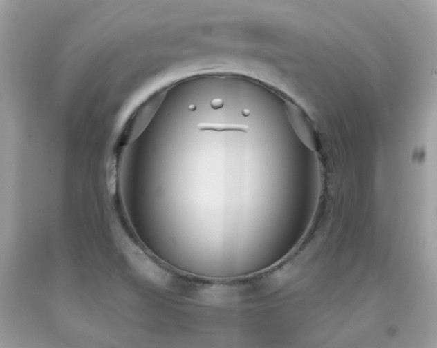 X0000091931510200709051450