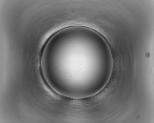 X0000091931511200709051450