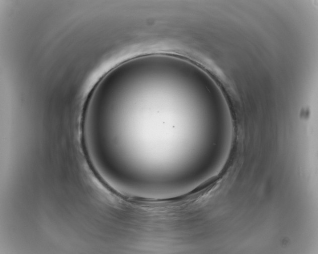 X0000091931512200709051450