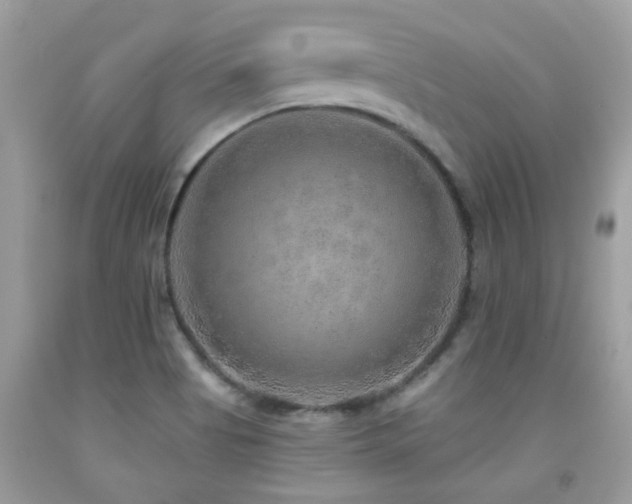 X0000091931513200709051450