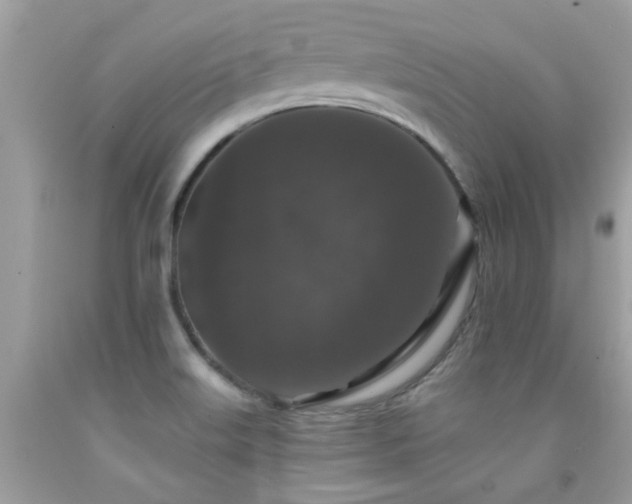 X0000091931515200709051451