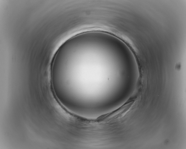 X0000091931516200709051451