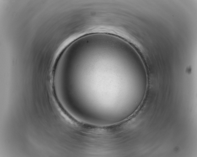 X0000091931517200709051451