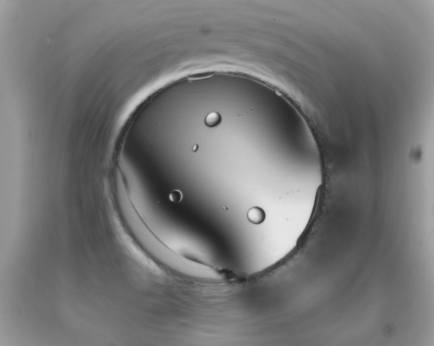 X0000091931518200709051451