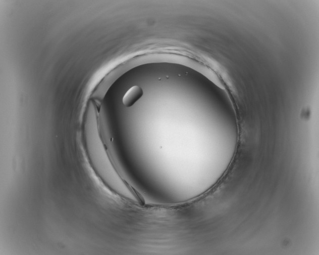 X0000091931520200709051451