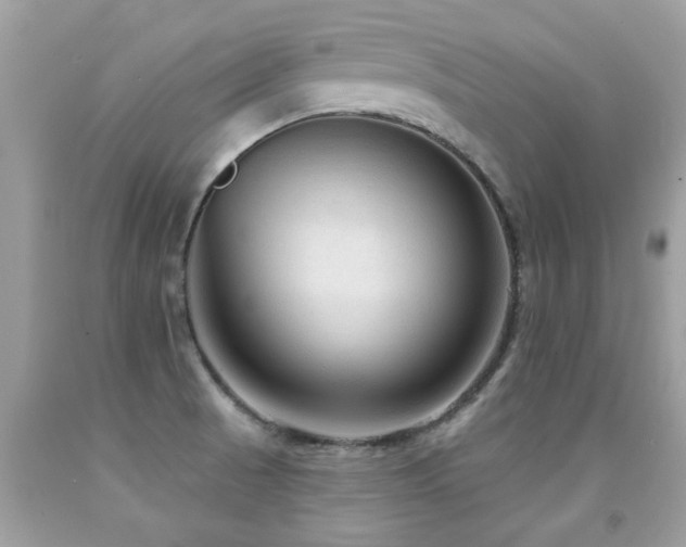 X0000091931521200709051451
