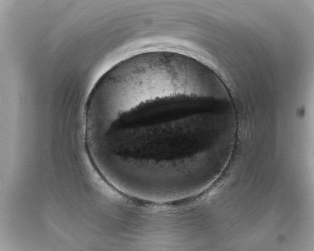 X0000091931522200709051451