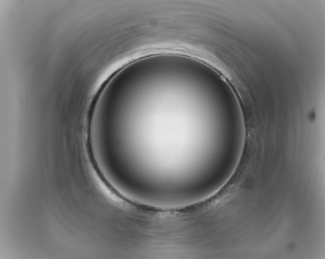 X0000091931523200709051451