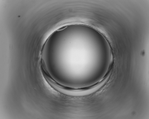 X0000091931524200709051451