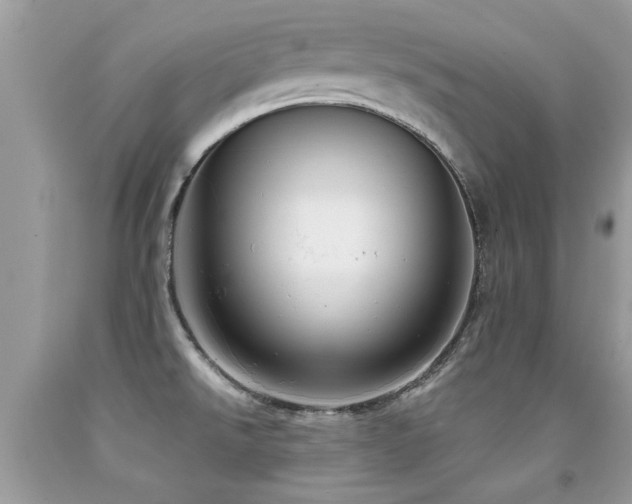 X0000091931526200709051451