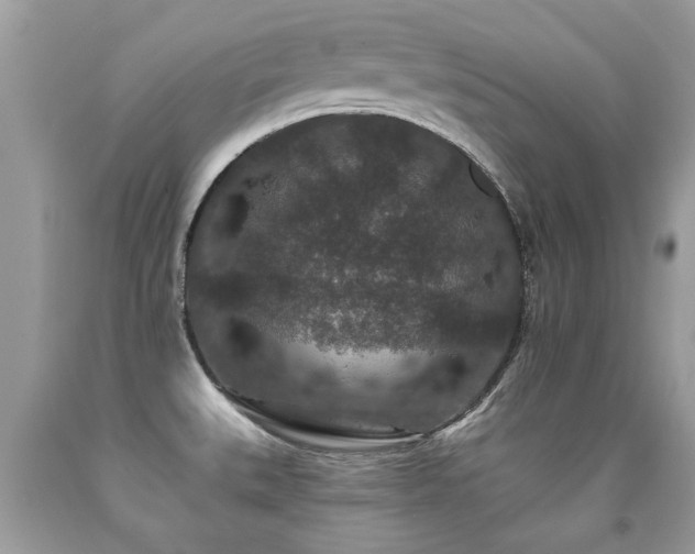 X0000091931527200709051451