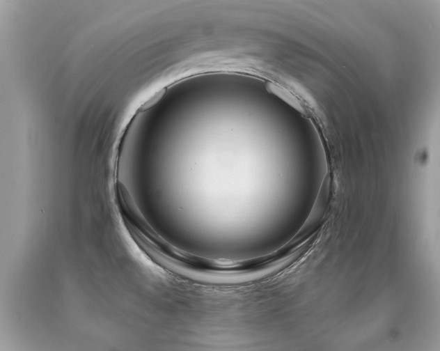 X0000091931528200709051451