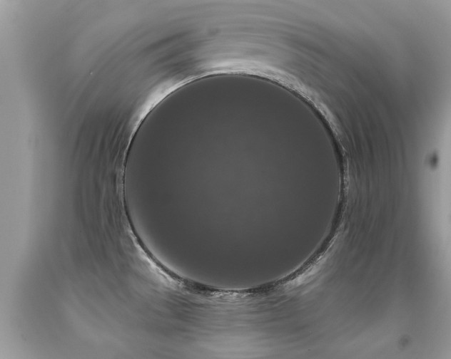 X0000091931529200709051451
