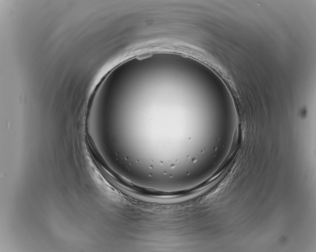 X0000091931530200709051451