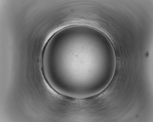 X0000091931531200709051451