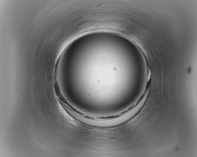 X0000091931532200709051451