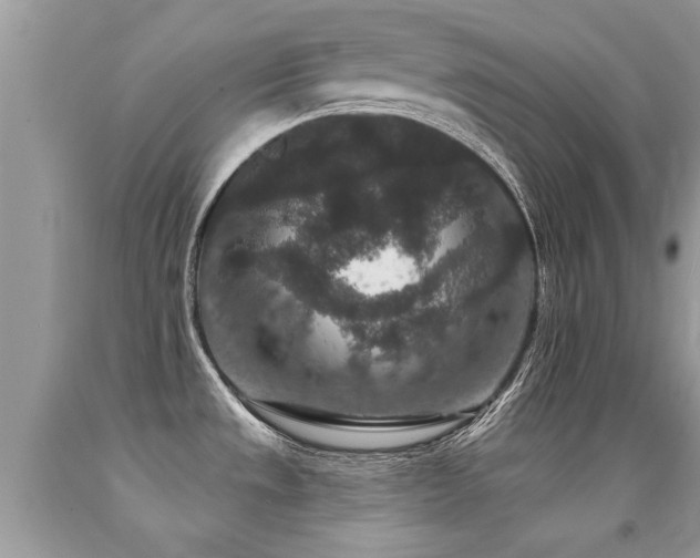 X0000091931533200709051451