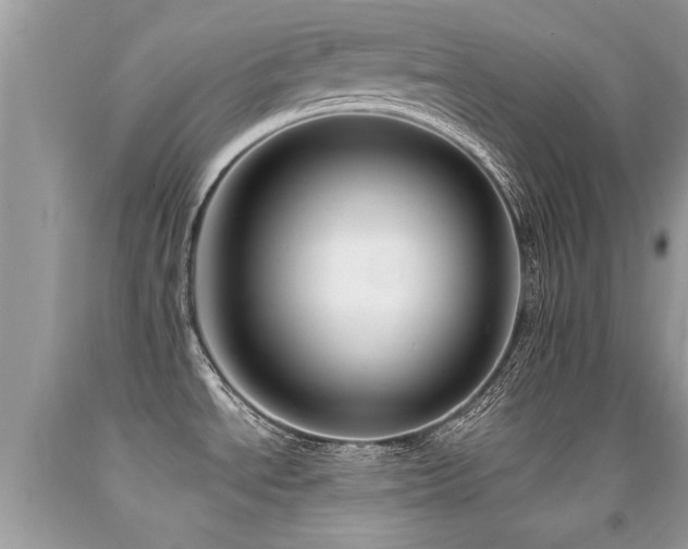 X0000091931534200709051451