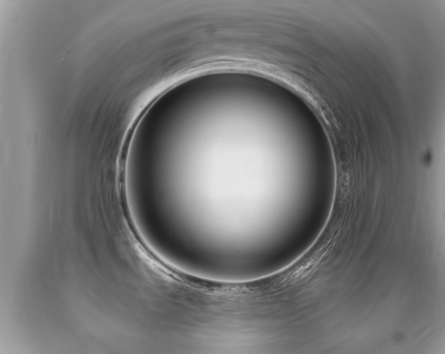 X0000091931535200709051451