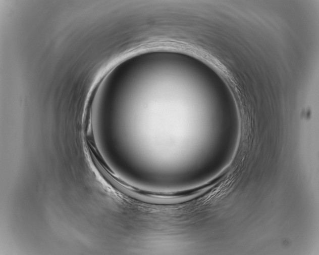 X0000091931536200709051451