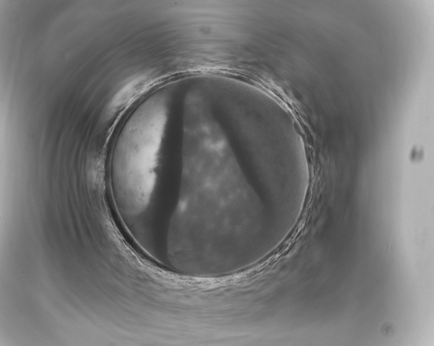 X0000091930002200709121608