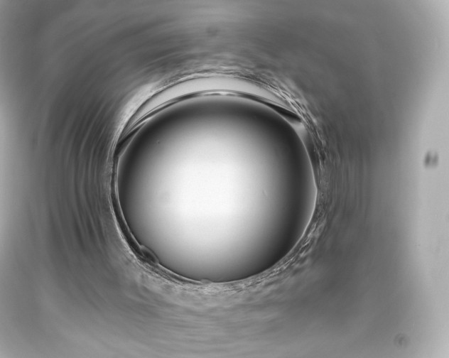 X0000091930003200709121608