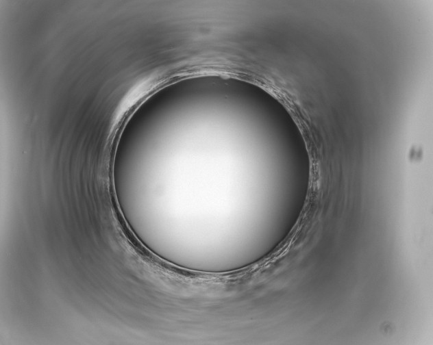 X0000091930004200709121608